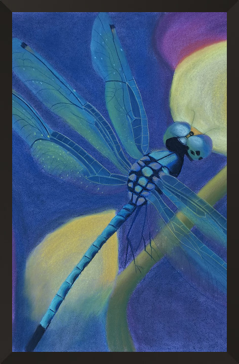 painter-artist-portfolio-hero-img Dragonfly